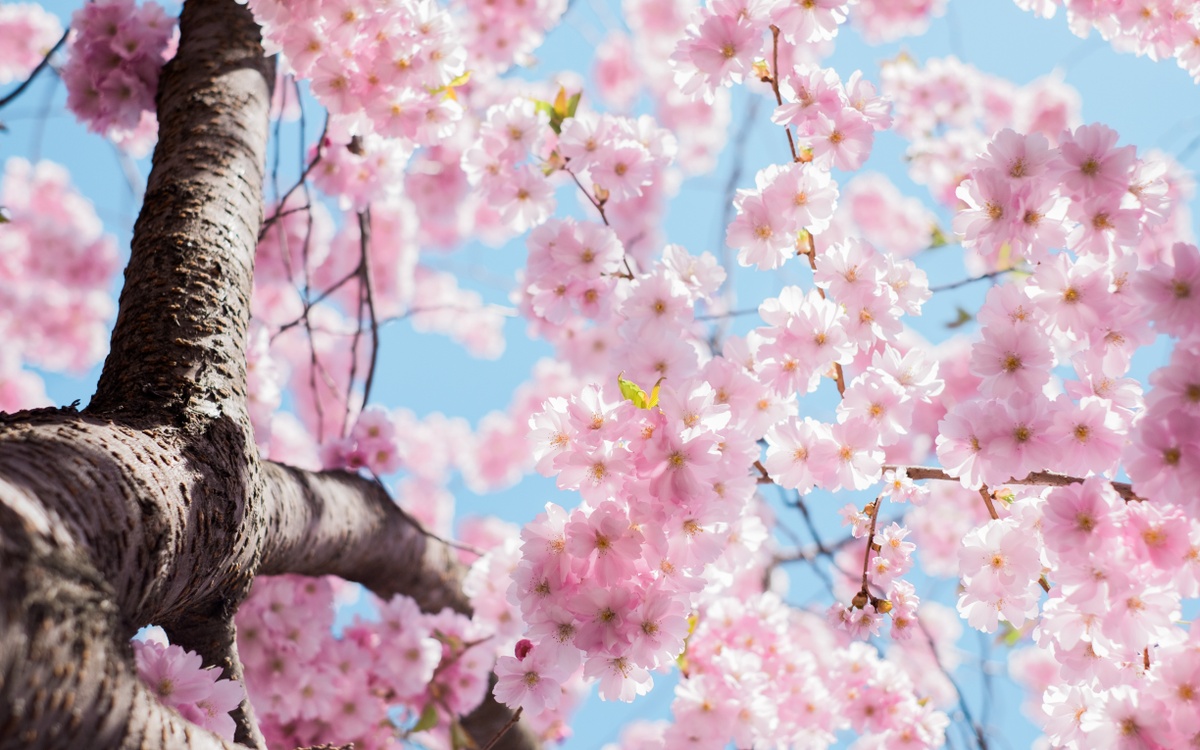 Time to Spring Forward!