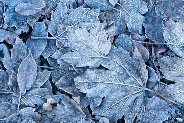 Secure Your Credit With a Freeze!