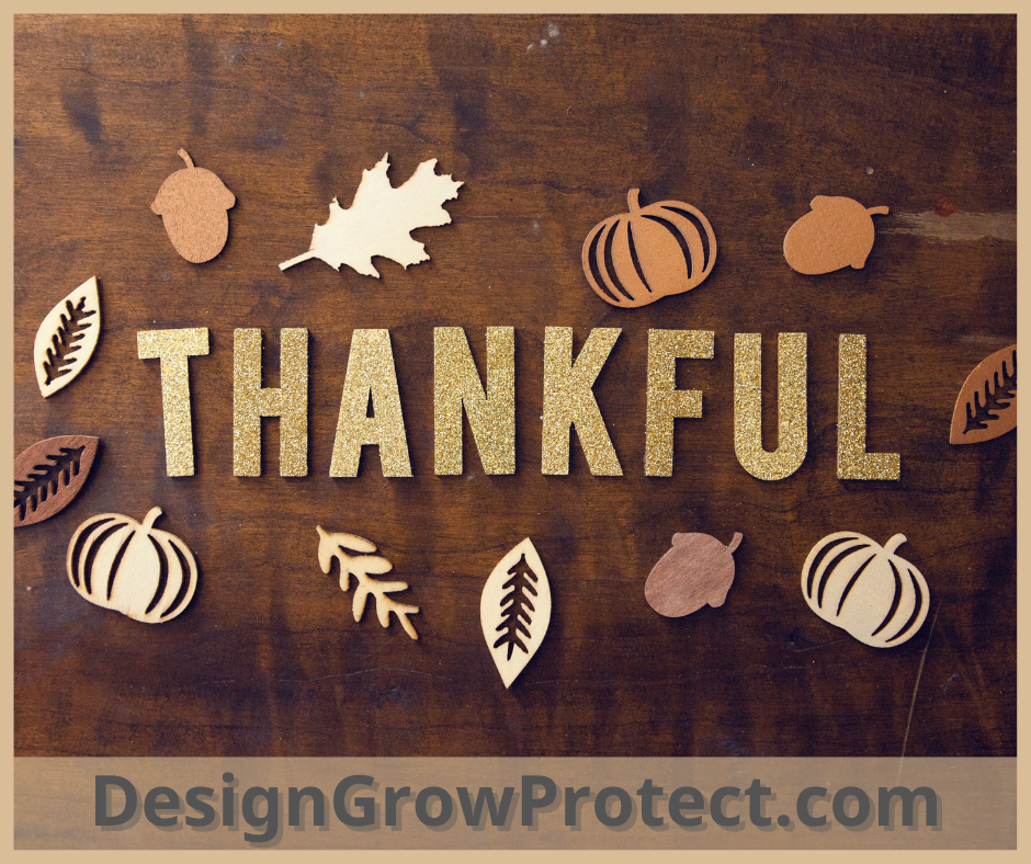 Happy Thanksgiving!