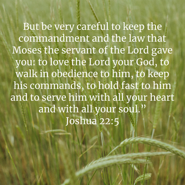 Joshua 22:5