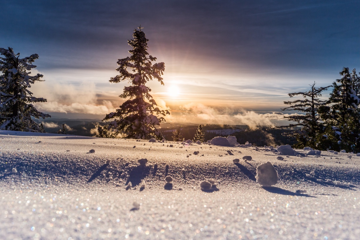 Weekly Market Insights: Stocks End Year Mostly Positive