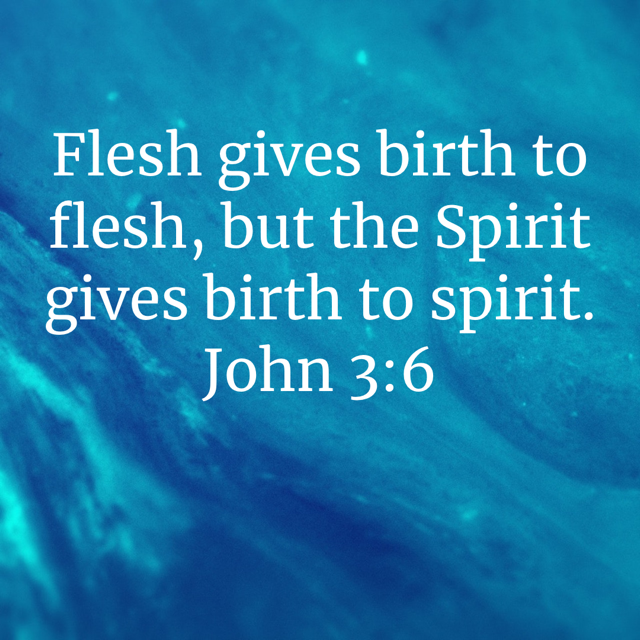 John 3:6