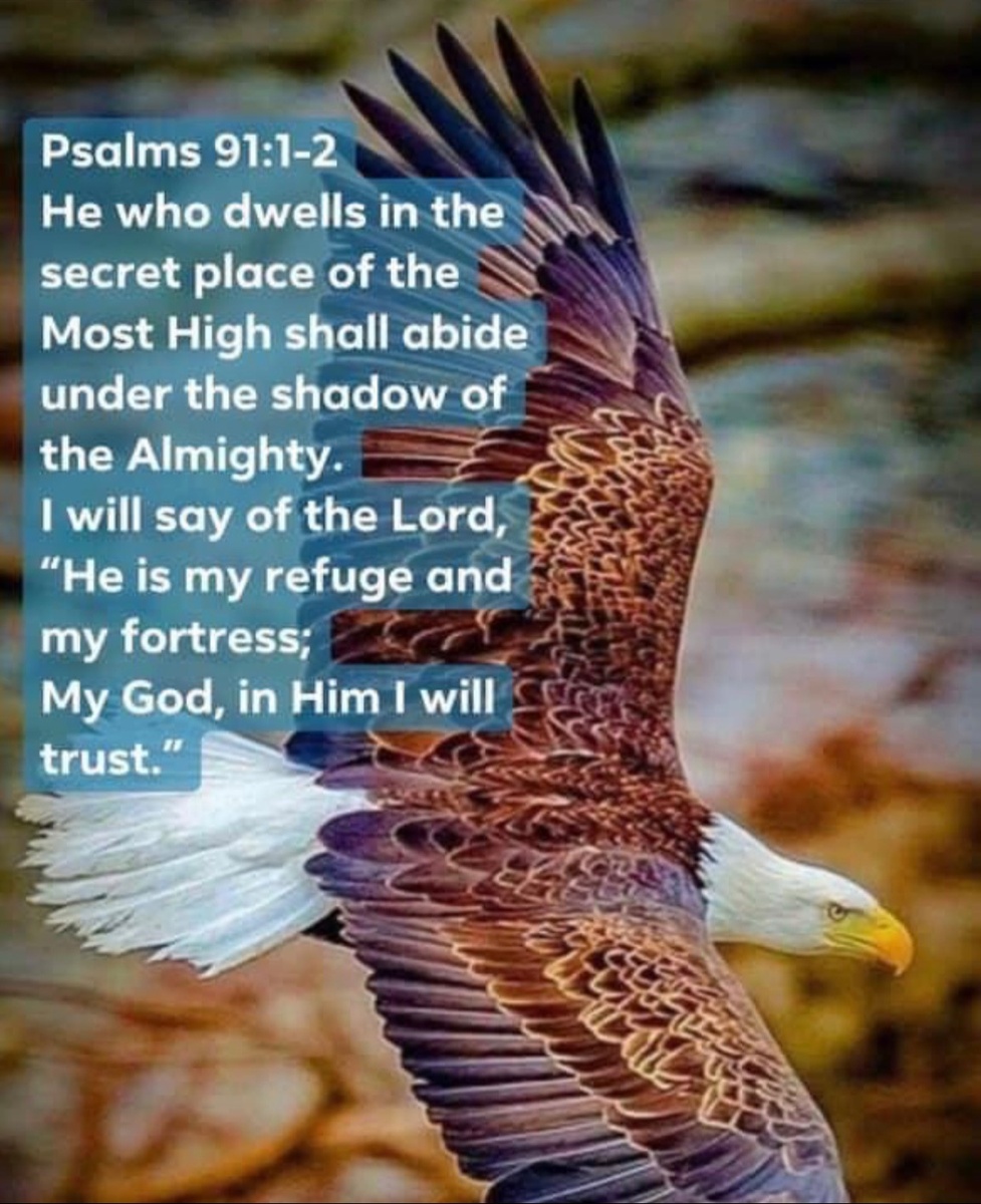 Psalm 91 Verse 11 Kjv