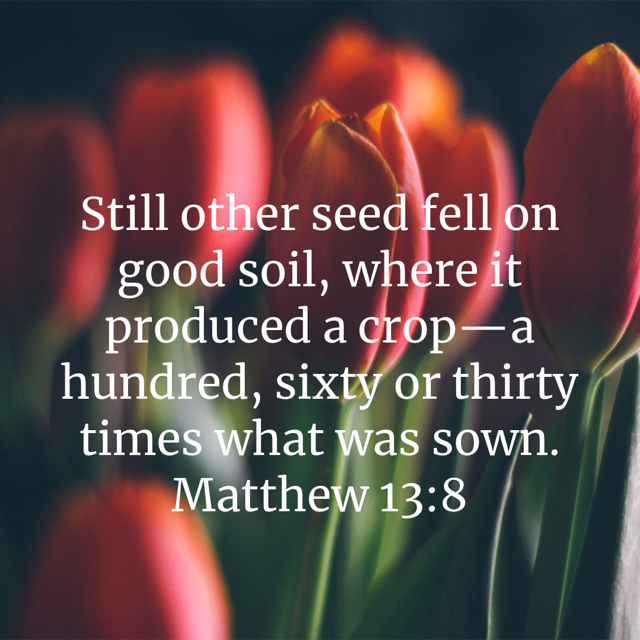 Matthew 13-8