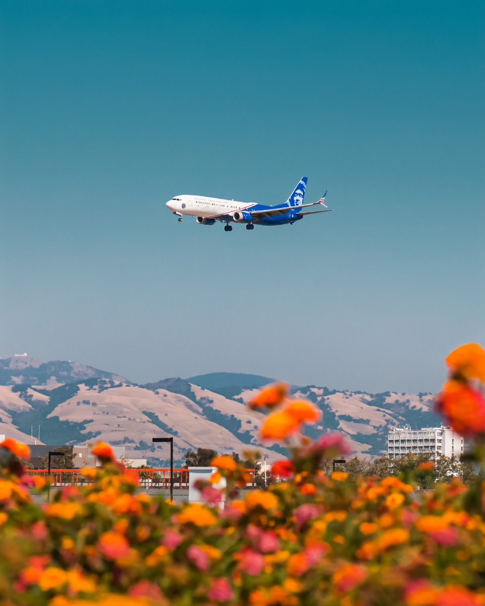 Euro/Dollar Parity & Summer Travel