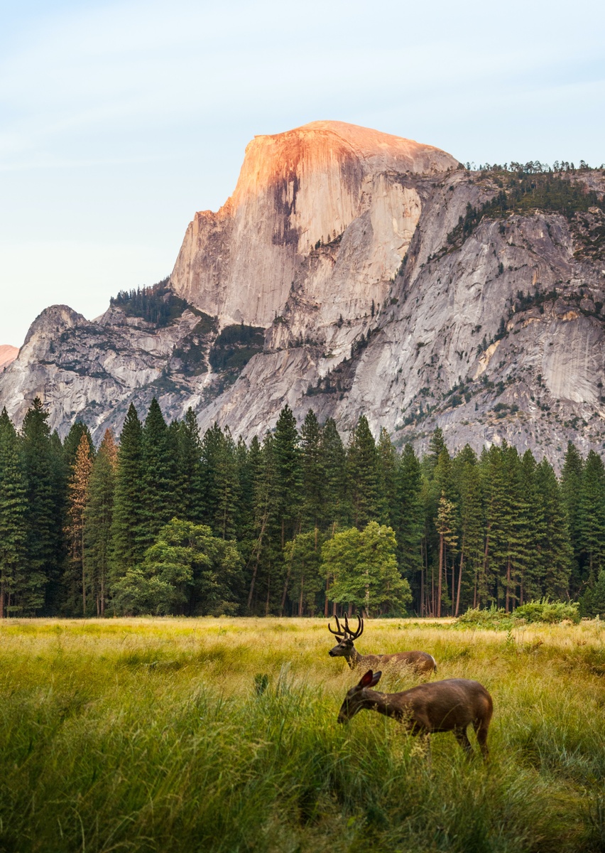 Weekly Market Insights: Stocks Rally Friday; Powell Cautious On Progress