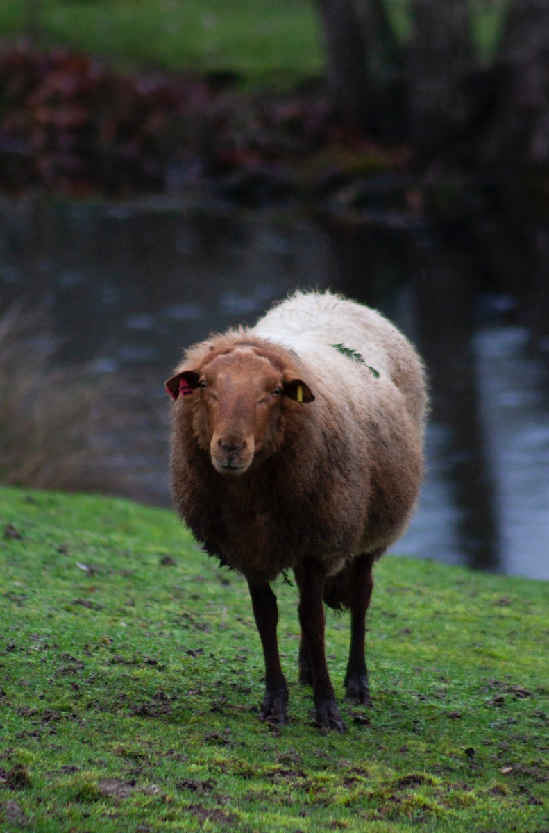 Weekly Market Insights: Stocks Rally As Attention Shifts to Fed's May Meeting