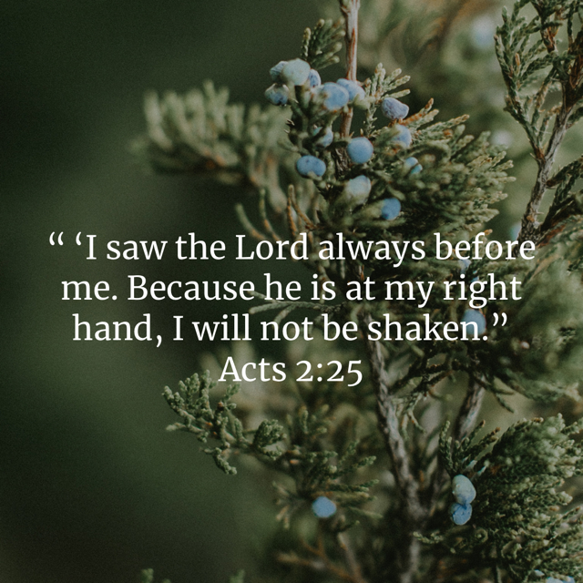 Acts 2:25