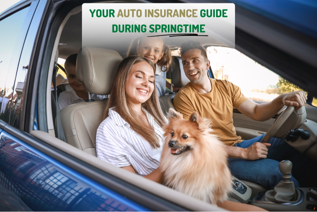 Your Auto Insurance Guide During Spring in Washington | Evergreen