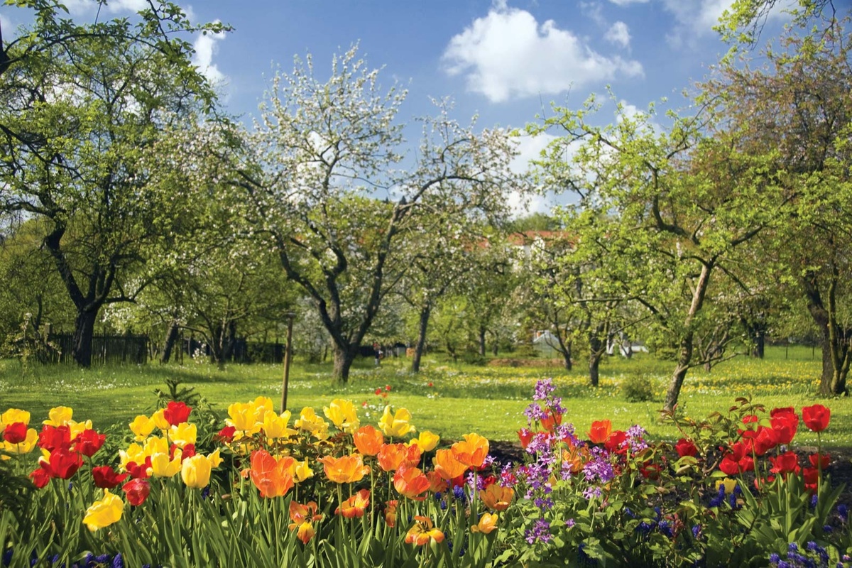 Spring into April