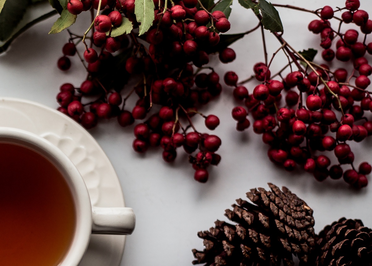 6 Tips to No Credit Card Hangover this Holiday.