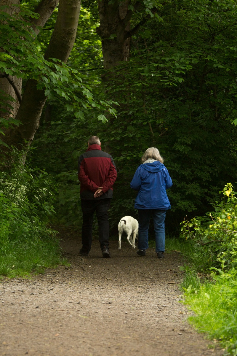 New Retirement Contribution Limits for 2023
