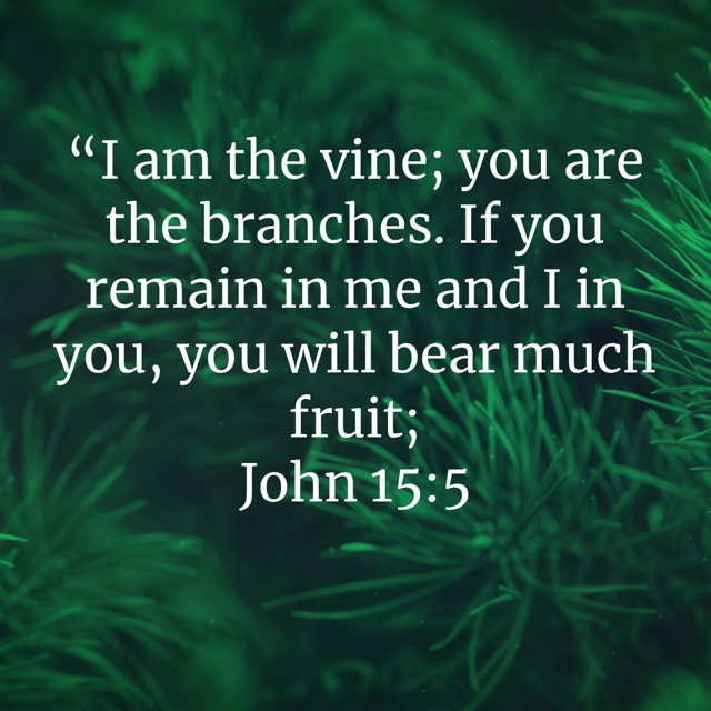 John 15:5