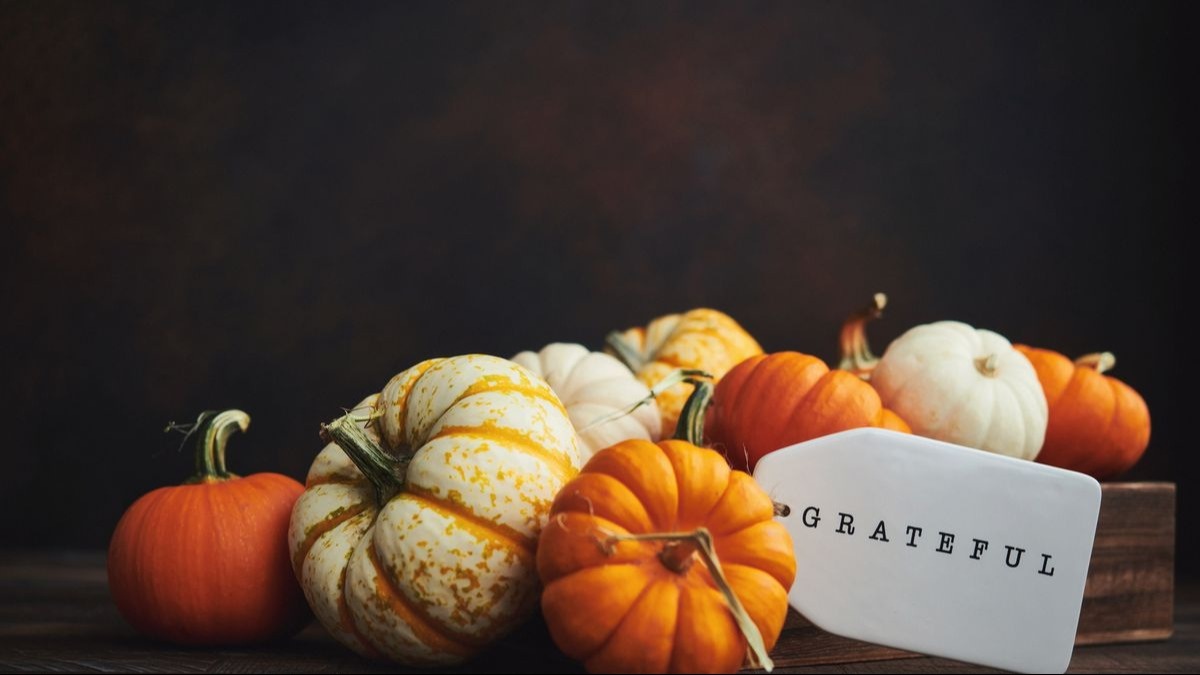 Happy Thanksgiving