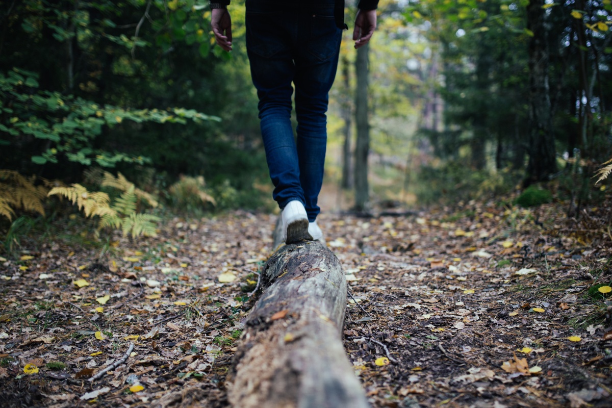 Searching for the Goldilocks Economy