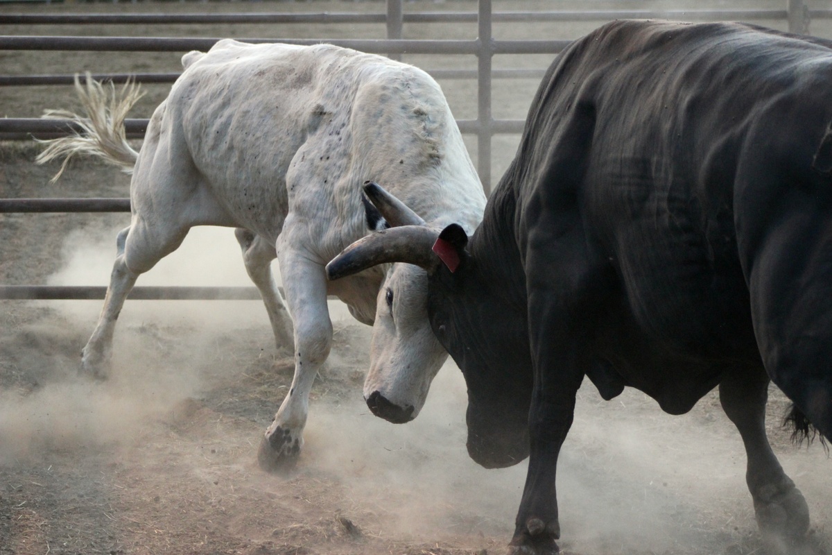 What is the Cost of Missing a Market Rebound?