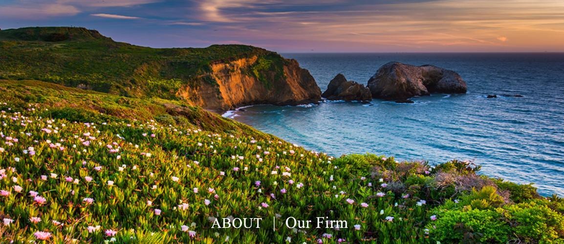 About Our Firm Banner