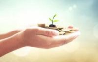 Investment Management