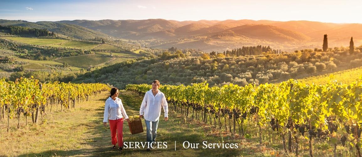 Our Services Banner