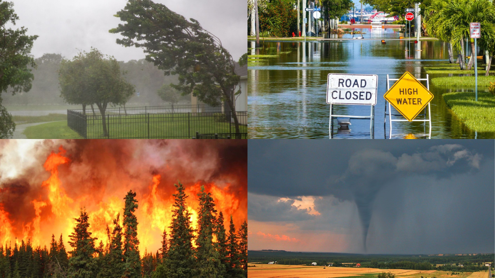 Collage of 4 phono images: flooding, a tornado, a wild fire, and a hurricane