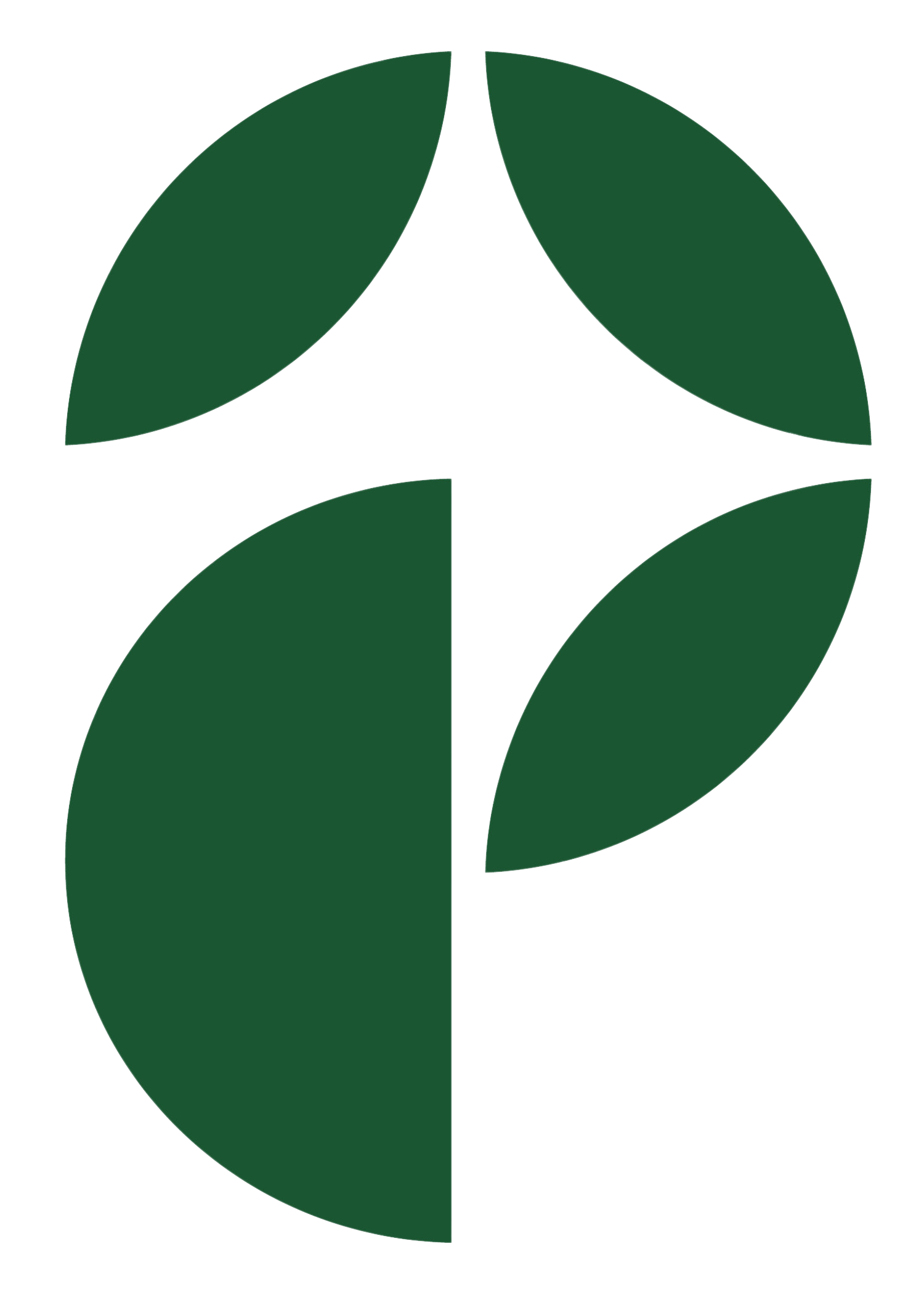 Premier Planning Group logo