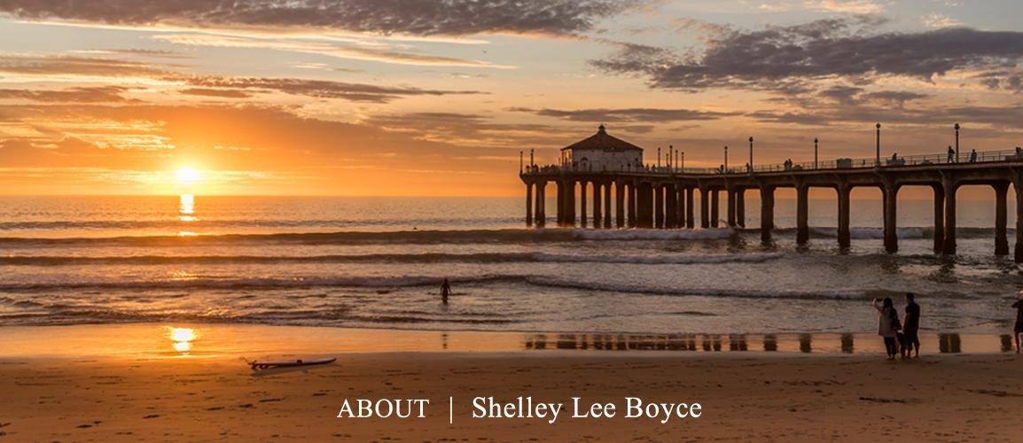 About Shelley Lee Boyce Banner