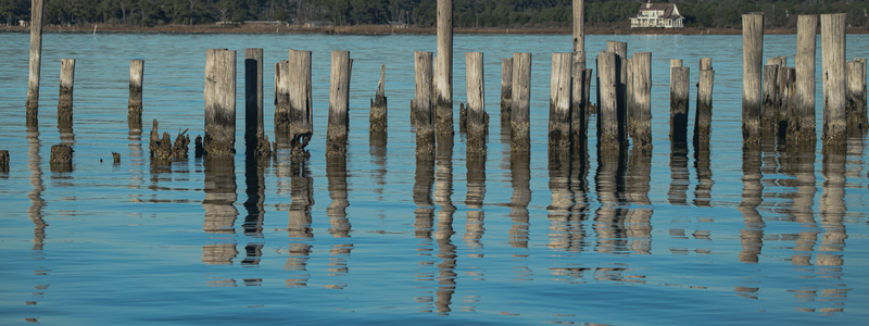 Pilings on the water