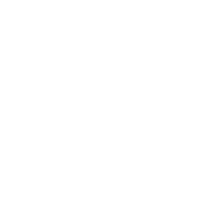 Durability-Icon