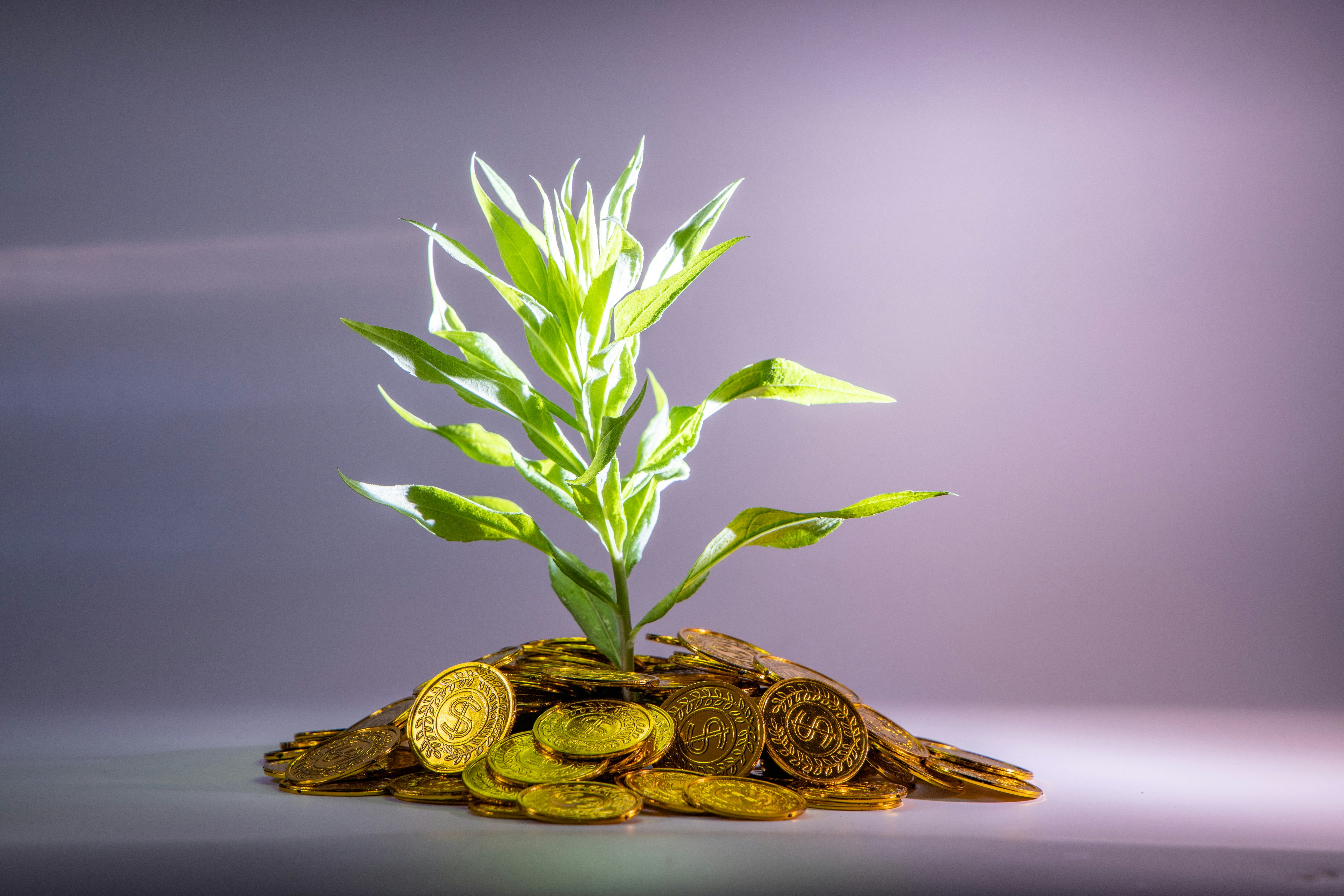 Income Distribution Planning