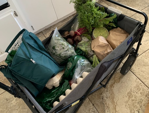 Jen's Weekly Farmers Market Run