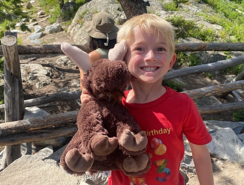 Meeting a Moose