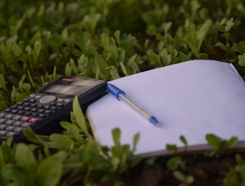 Why Proactive Tax Planning Changes Everything