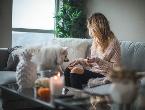 Little-known facts about Homeowners Insurance