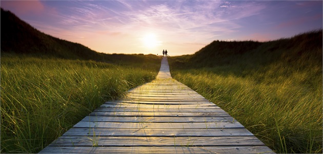 Dream. Act. Enjoy. Retire Early.