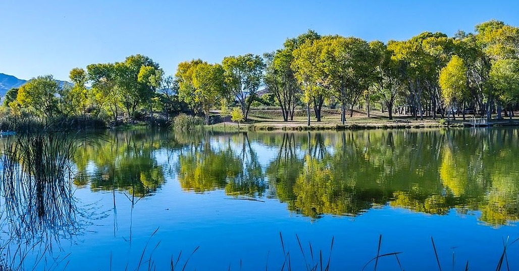 Cottonwood Strategic Planning Benefit & Financial Strategies