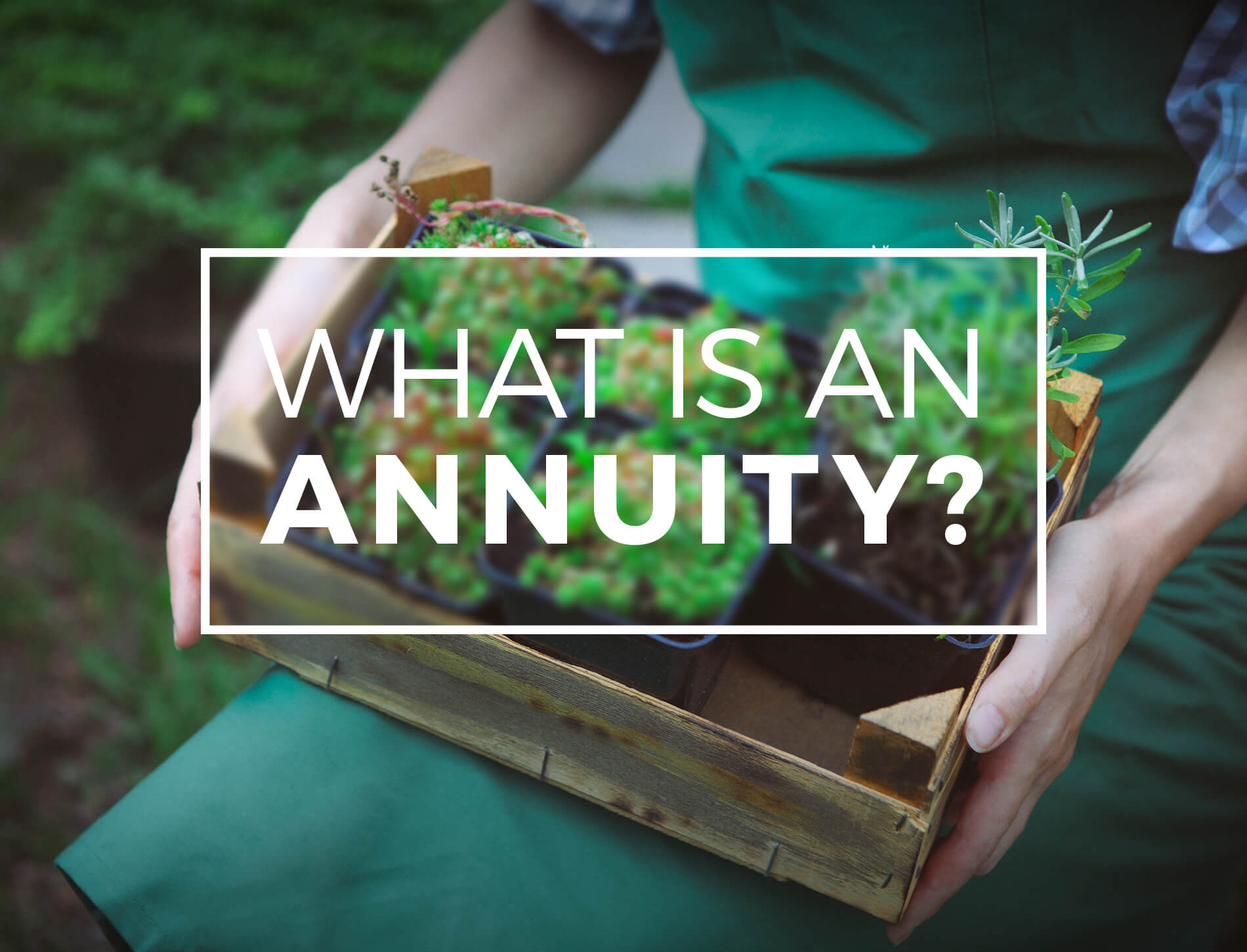 Are Survivor Annuity Benefits Taxable