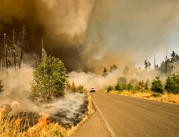 How to File a Wildfire Claim