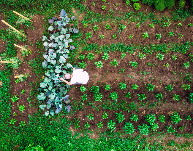 Overlooked ways to add diversity to your portfolio