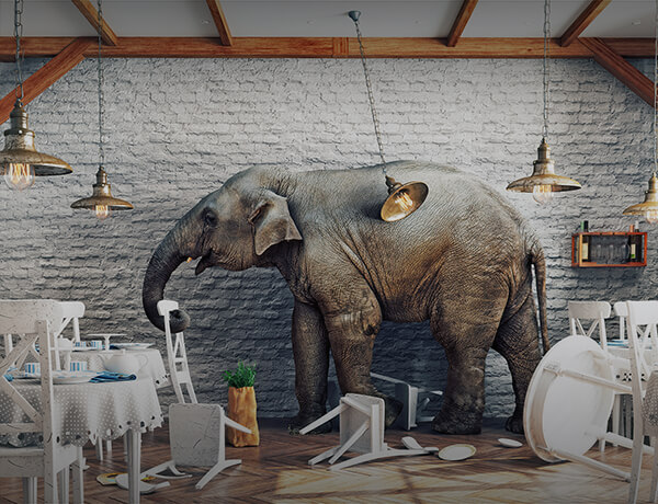 Social Security: The Elephant in the Room