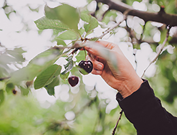 The Importance of Having a Retirement Plan