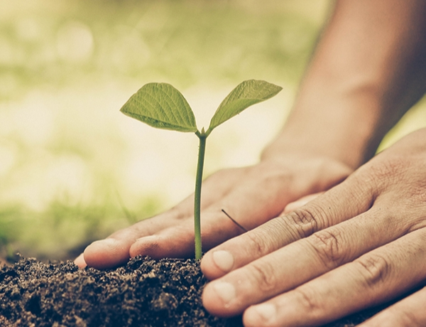 The 12 Steps to Living Confidently: Retire With Confidence