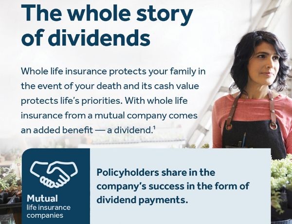 Infographic: The Whole Story of Dividends