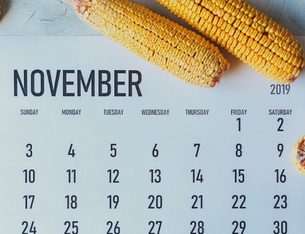 Market Month: November 2019