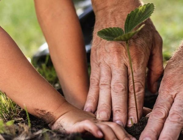 Insurance Options for Business Succession Planning