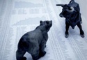 Q3 2023 Market Review and Outlook