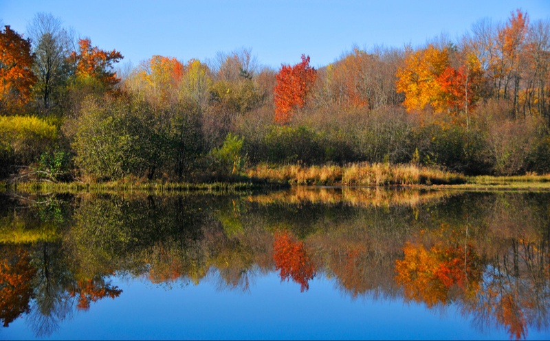 Momentum Carries Into Fall