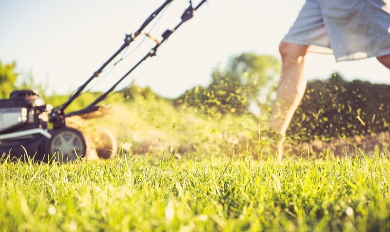 Why I Stripe My Lawn