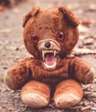 Should I Be Scared of the Bear?