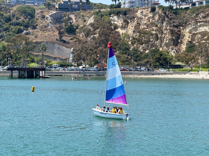 Revel in the Summer: Sailing, Celebrating, and New Chapters