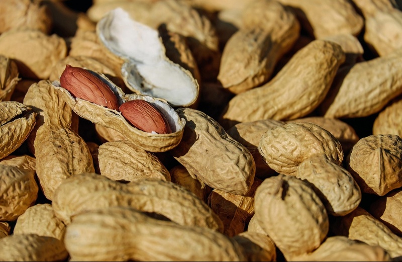 Food Allergies and Gut Health: What You Need to Know